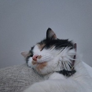 photo_profil_Charlene